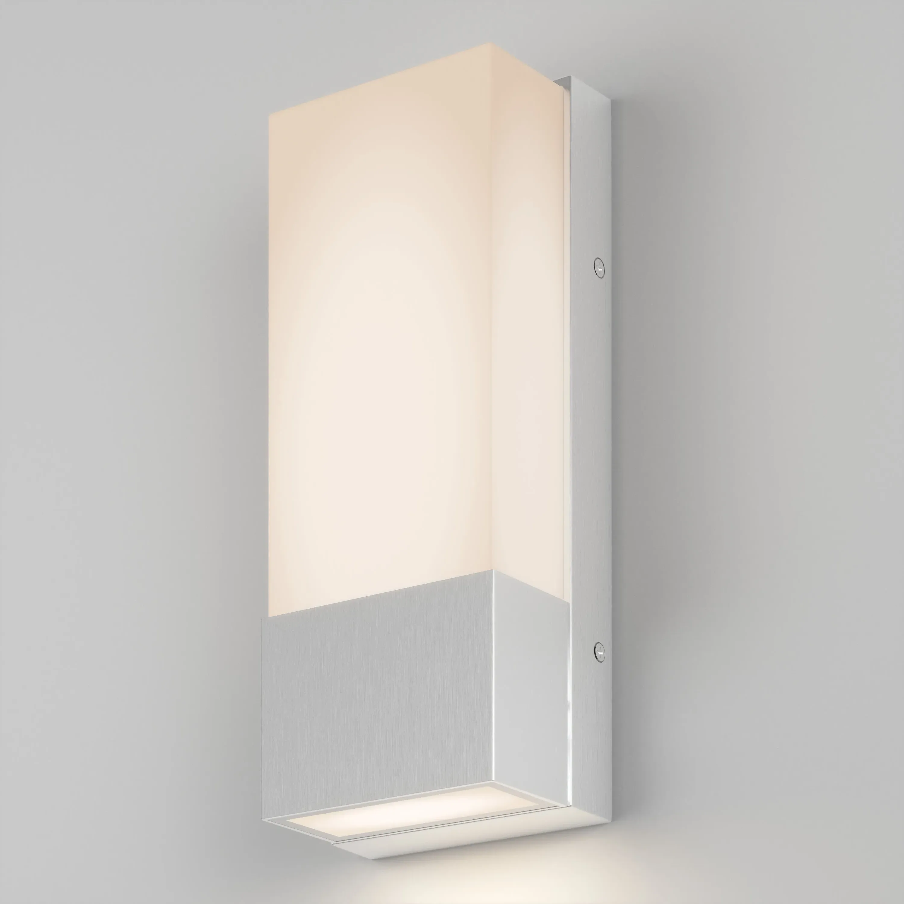Dixon Indoor-Outdoor LED Wall Light product