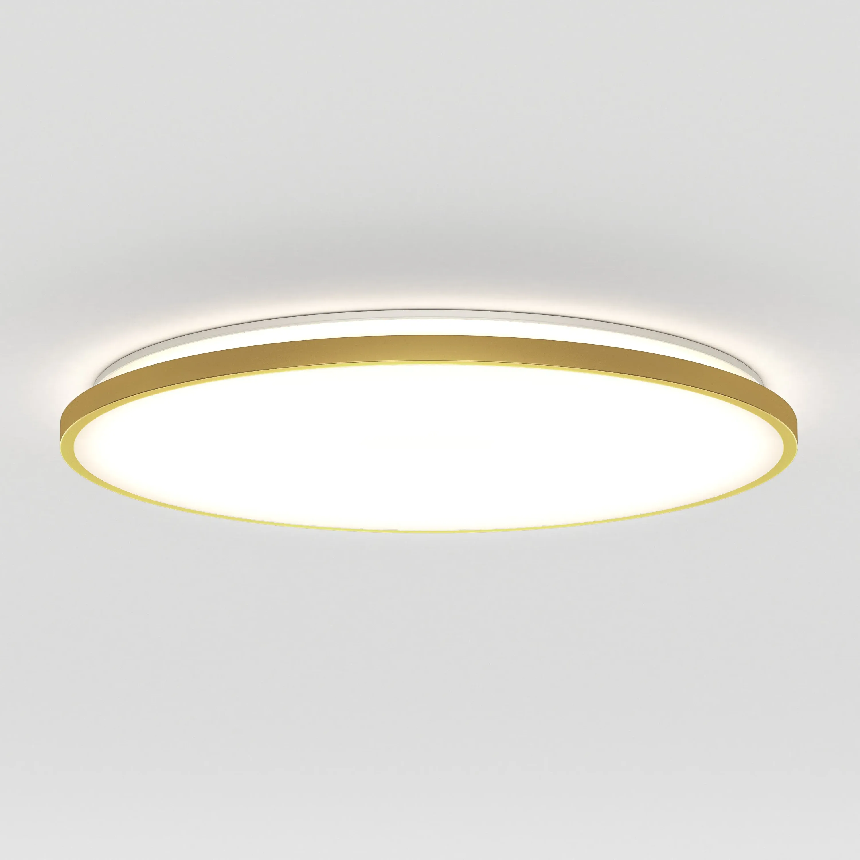 Europa 21in LED Flush Mount Ceiling Light with Remote product