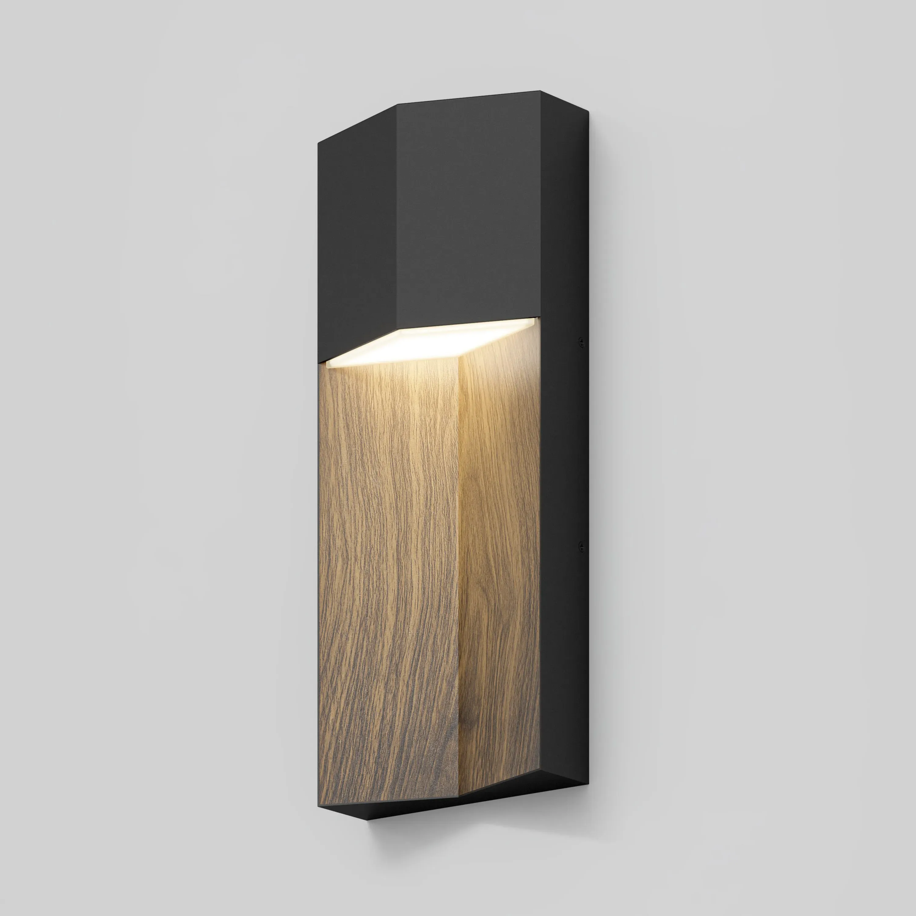 Howel LED Indoor-Outdoor Wall Light 5 CCT - Matte Black product