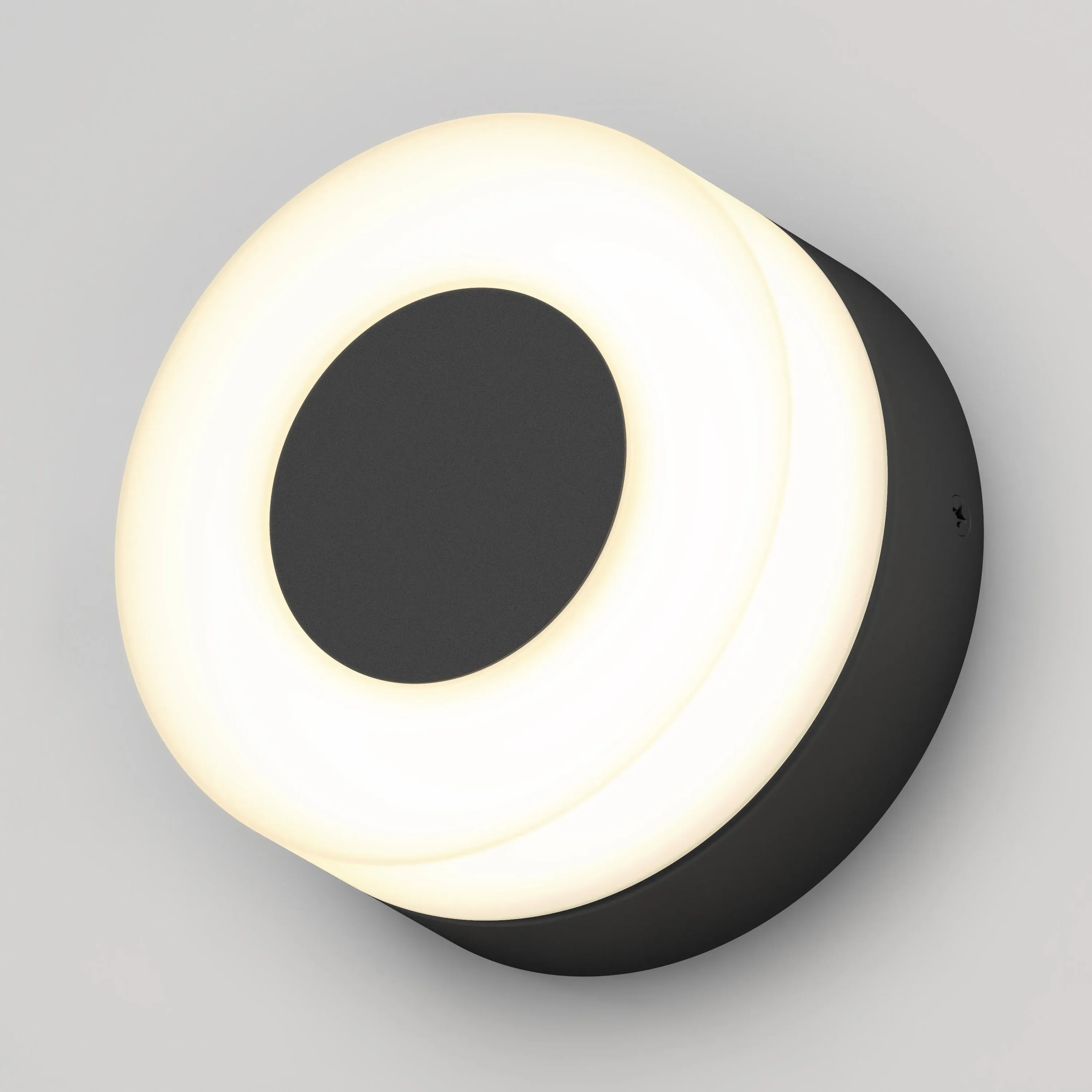 Ludwig LED Indoor-Outdoor Wall Light 5CCT product