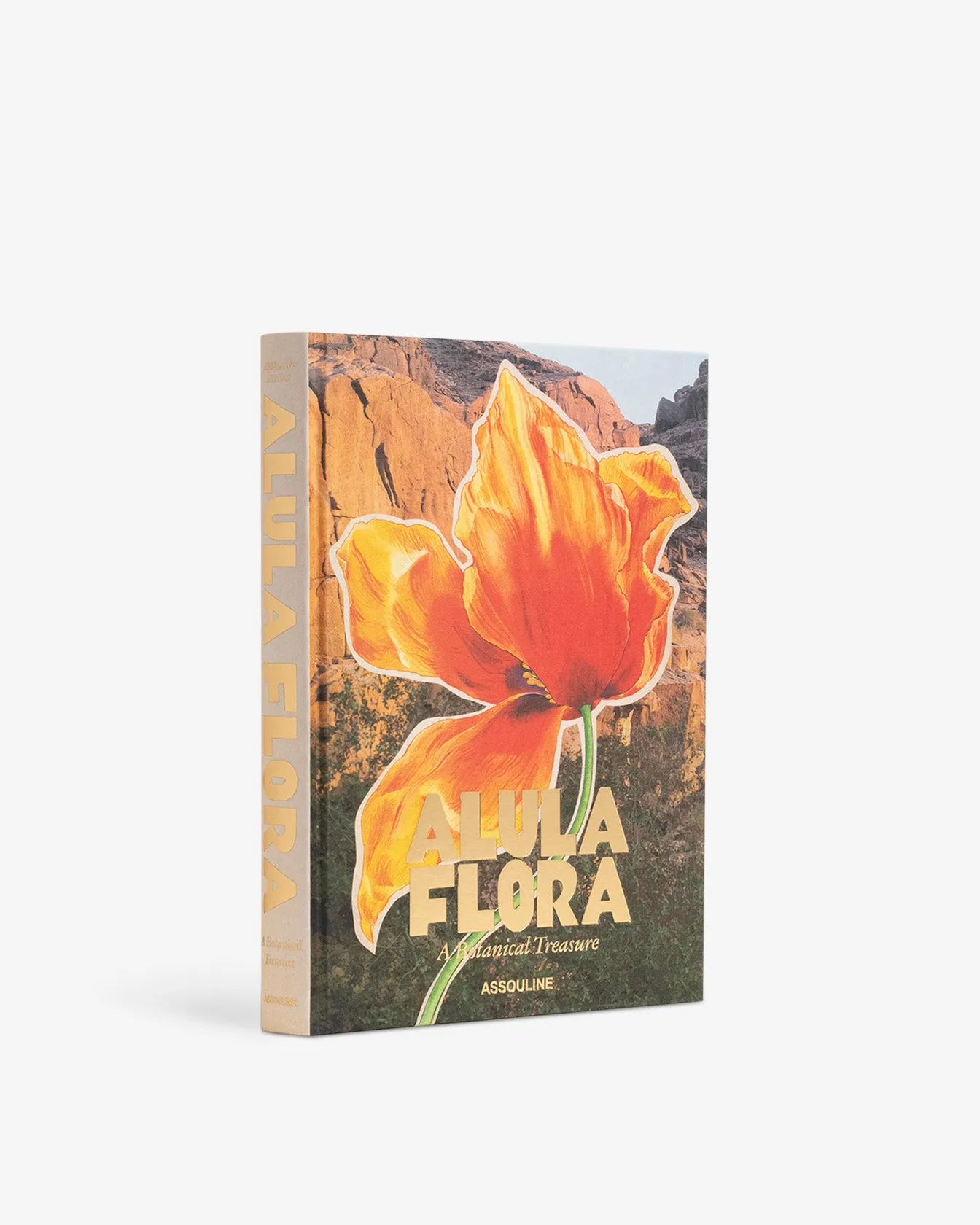 AlUla Flora Illustrated Book product