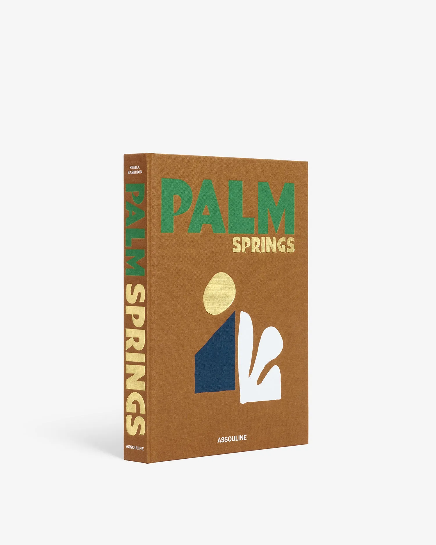 Palm Springs Travel Coffee Table Book product