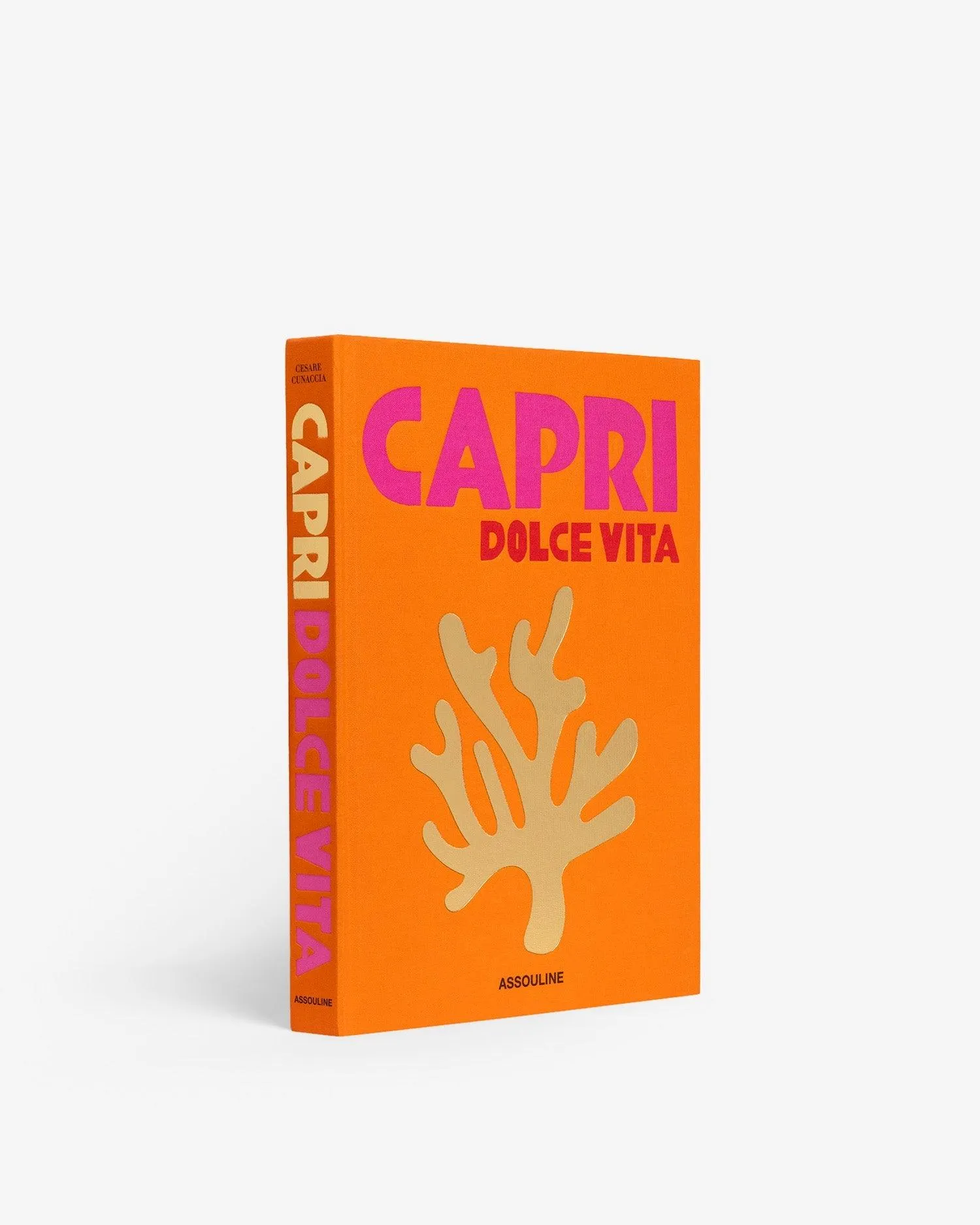 Capri Dolce Vita Coffee Table Book product