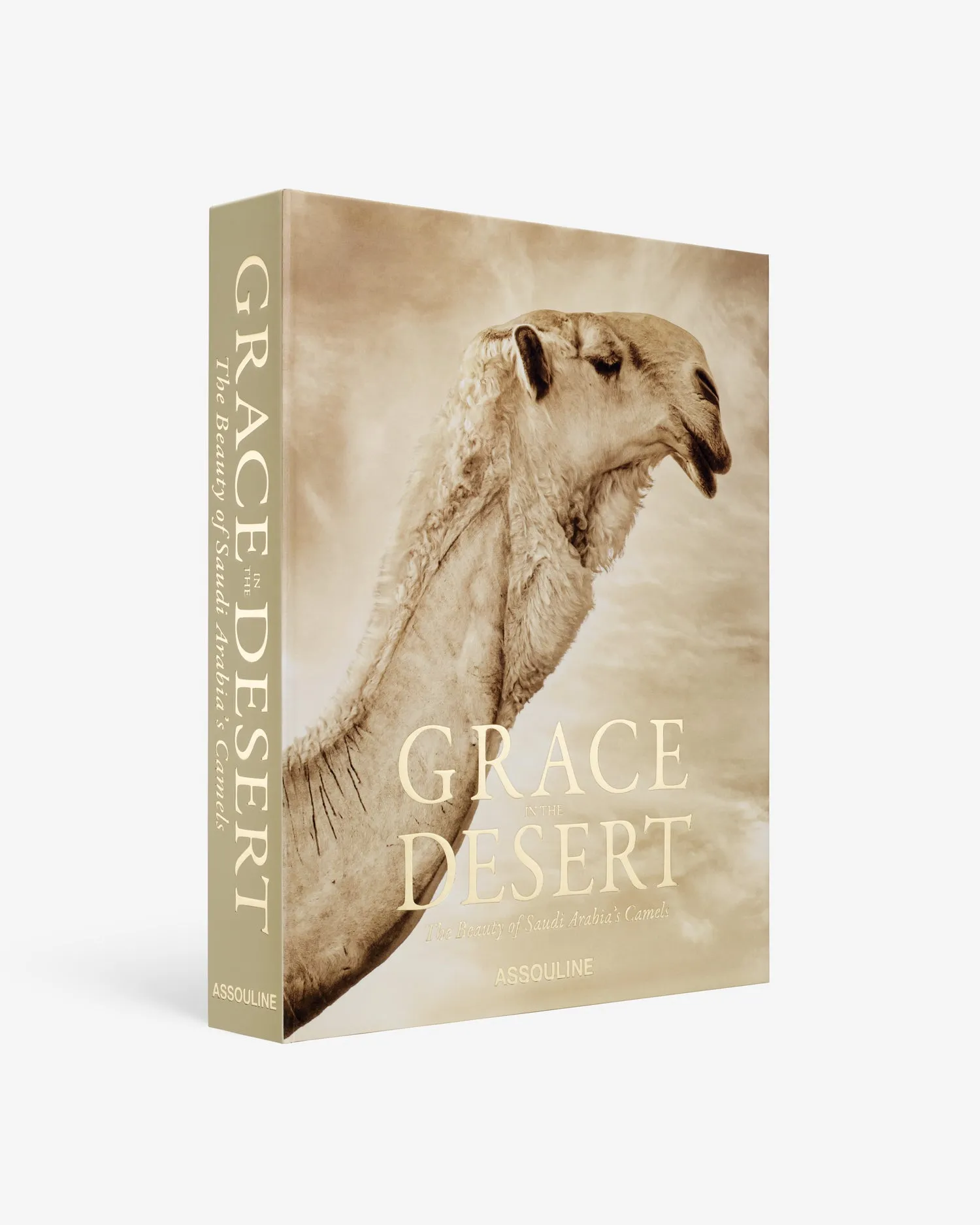 Grace in the Desert: The Beauty of Saudi Arabia's Camels Book product