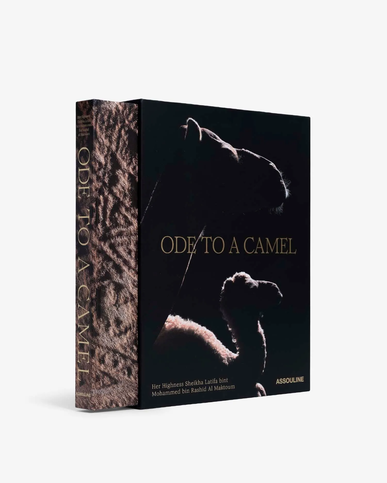 Ode to a Camel Photography Book product