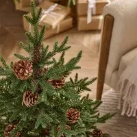 Buckingham 3ft Christmas Tree with Pinecones