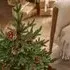 Buckingham 3ft Christmas Tree with Pinecones