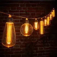 Connectable Festoon Lights - 10 Mixed Antique Bulbs