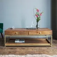 Henley Coffee Table with Storage - Mango Wood, Brass