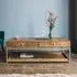 Henley Coffee Table with Storage - Mango Wood, Brass