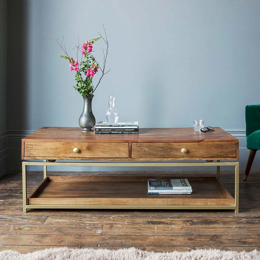 Henley Coffee Table with Storage - Mango Wood, Brass