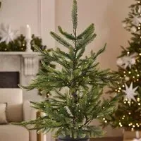 Nordmann Fir 3ft Pre-lit Potted Christmas Tree