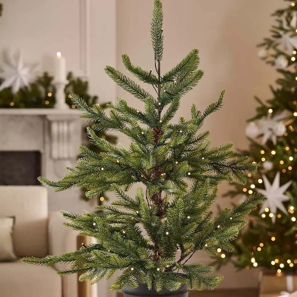 Nordmann Fir 3ft Pre-lit Potted Christmas Tree image