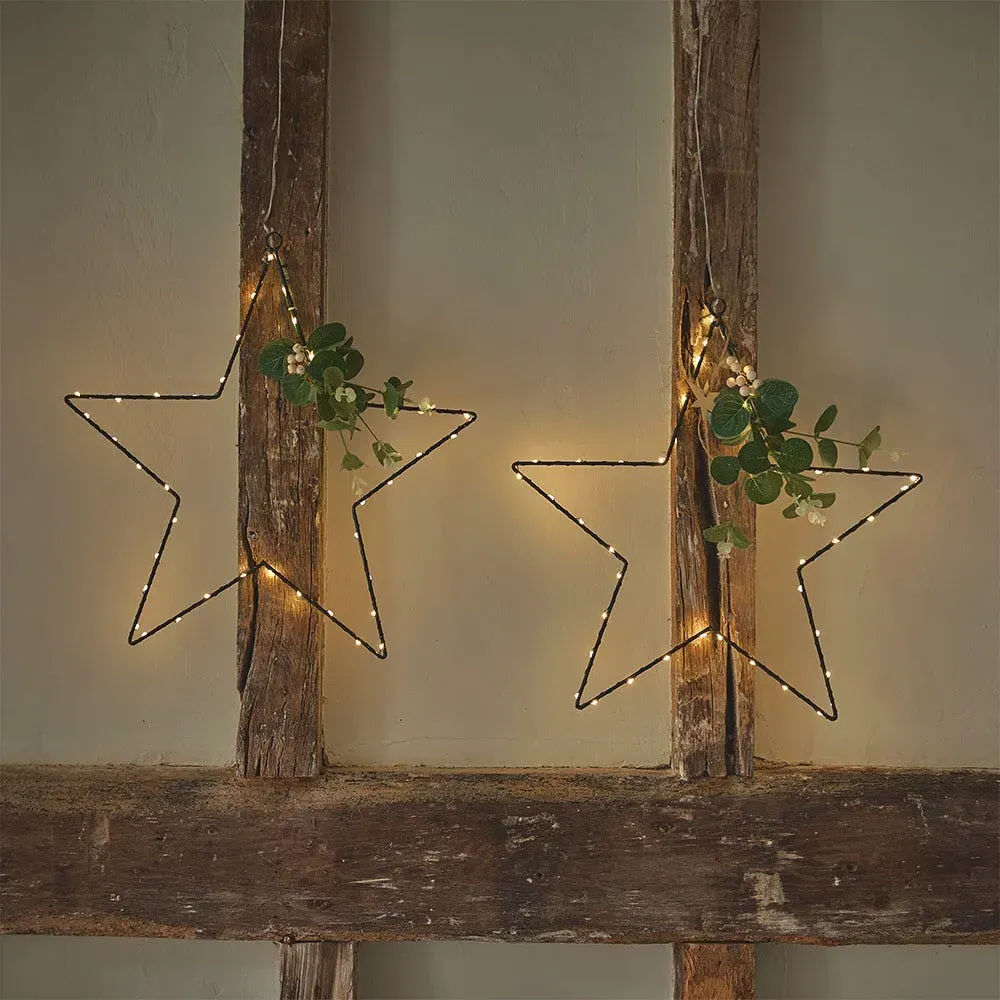 Pair of Eucalyptus Stars image