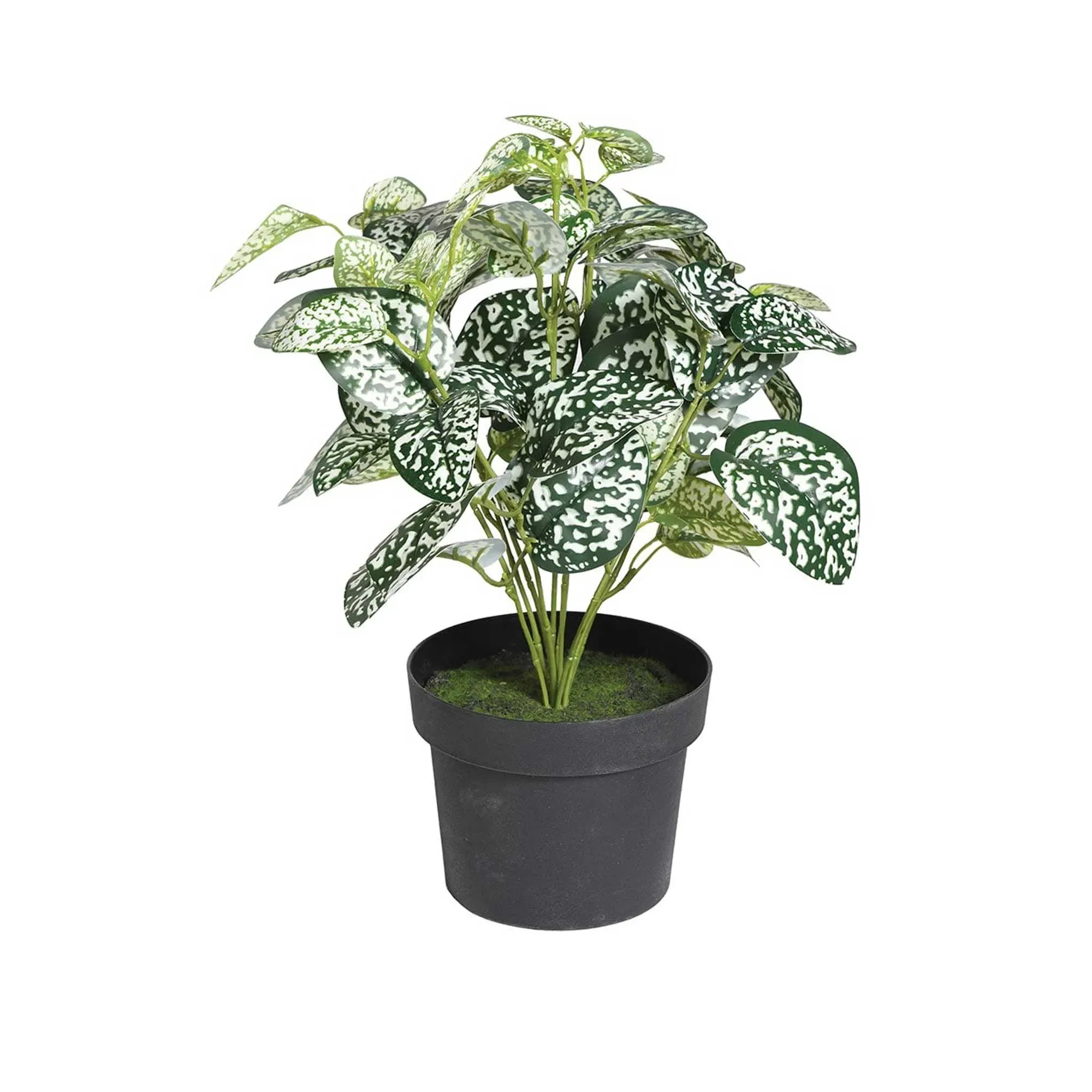 Chinese Evergreen Artificial Plant - Green, Polyester image