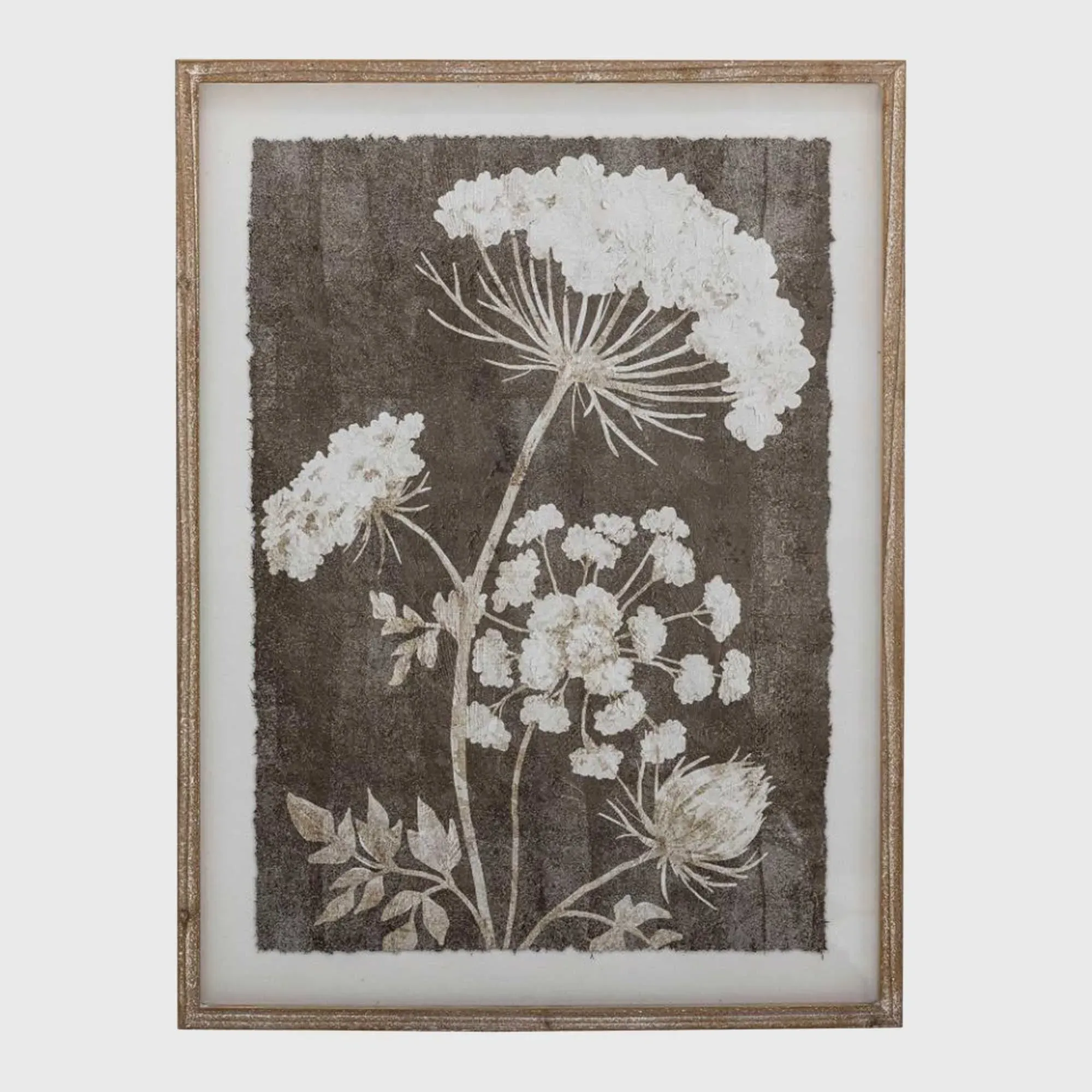 Dark Botanical Square Framed Print - Fir Wood image