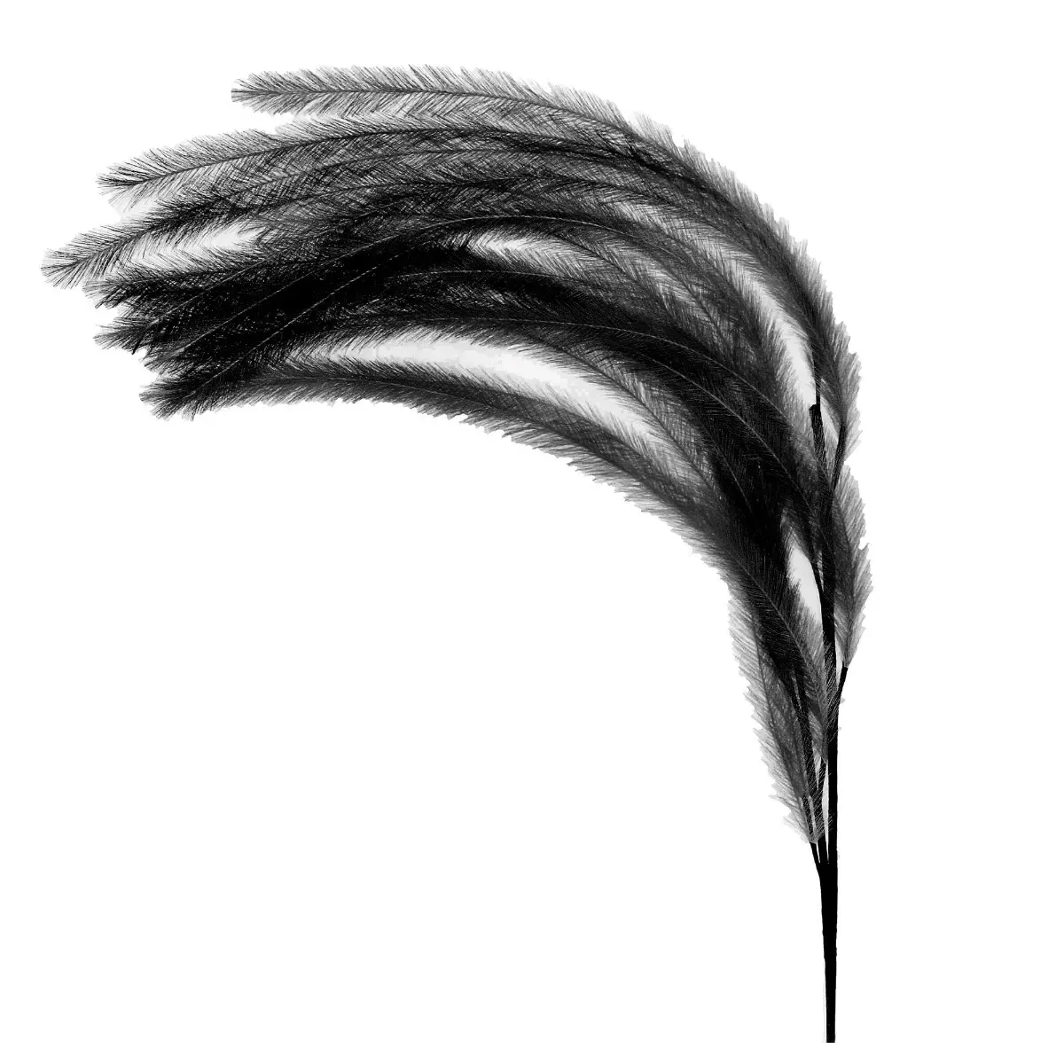 Faux Feather Plume - Black, Metal product