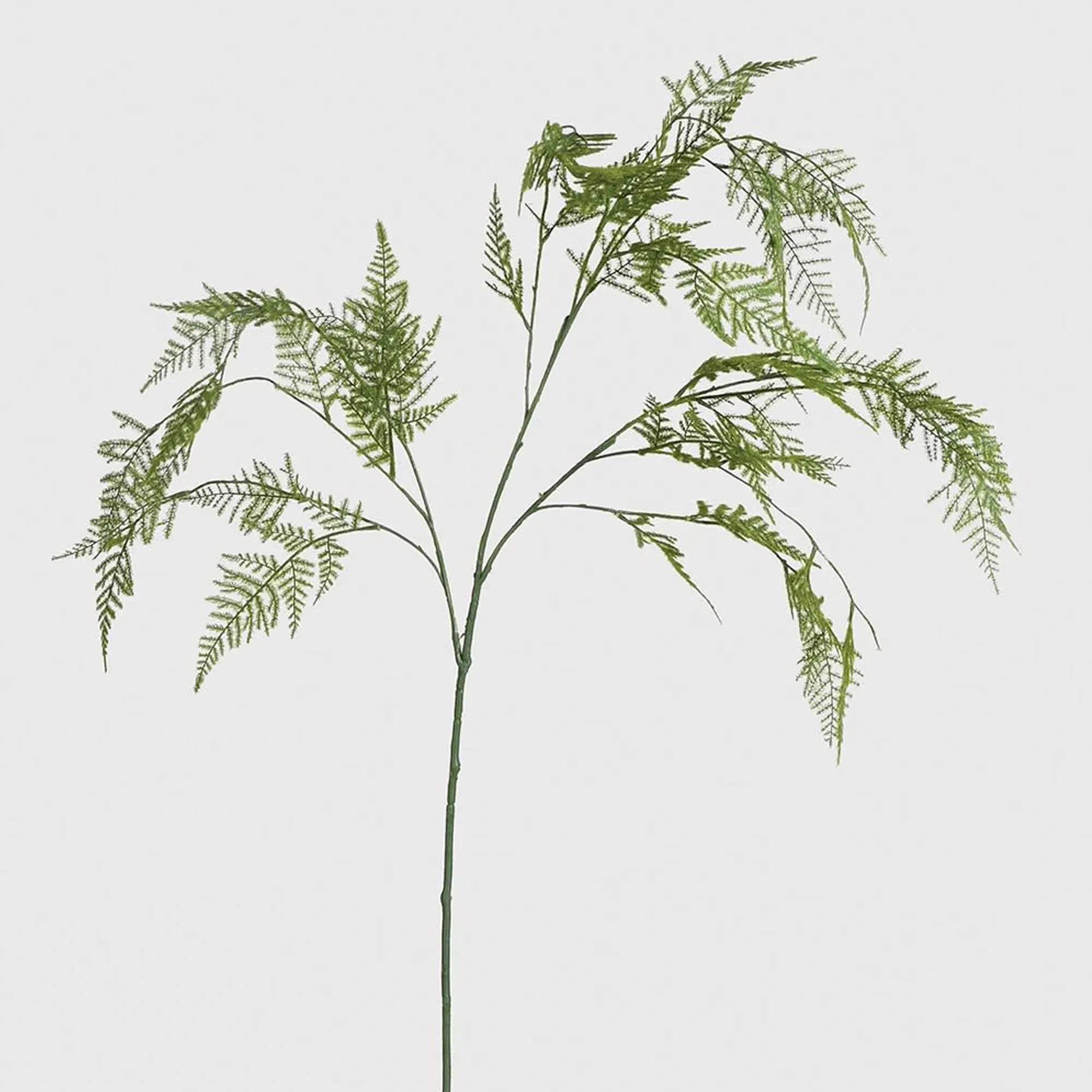 Fern Spray - Green, Polyester image