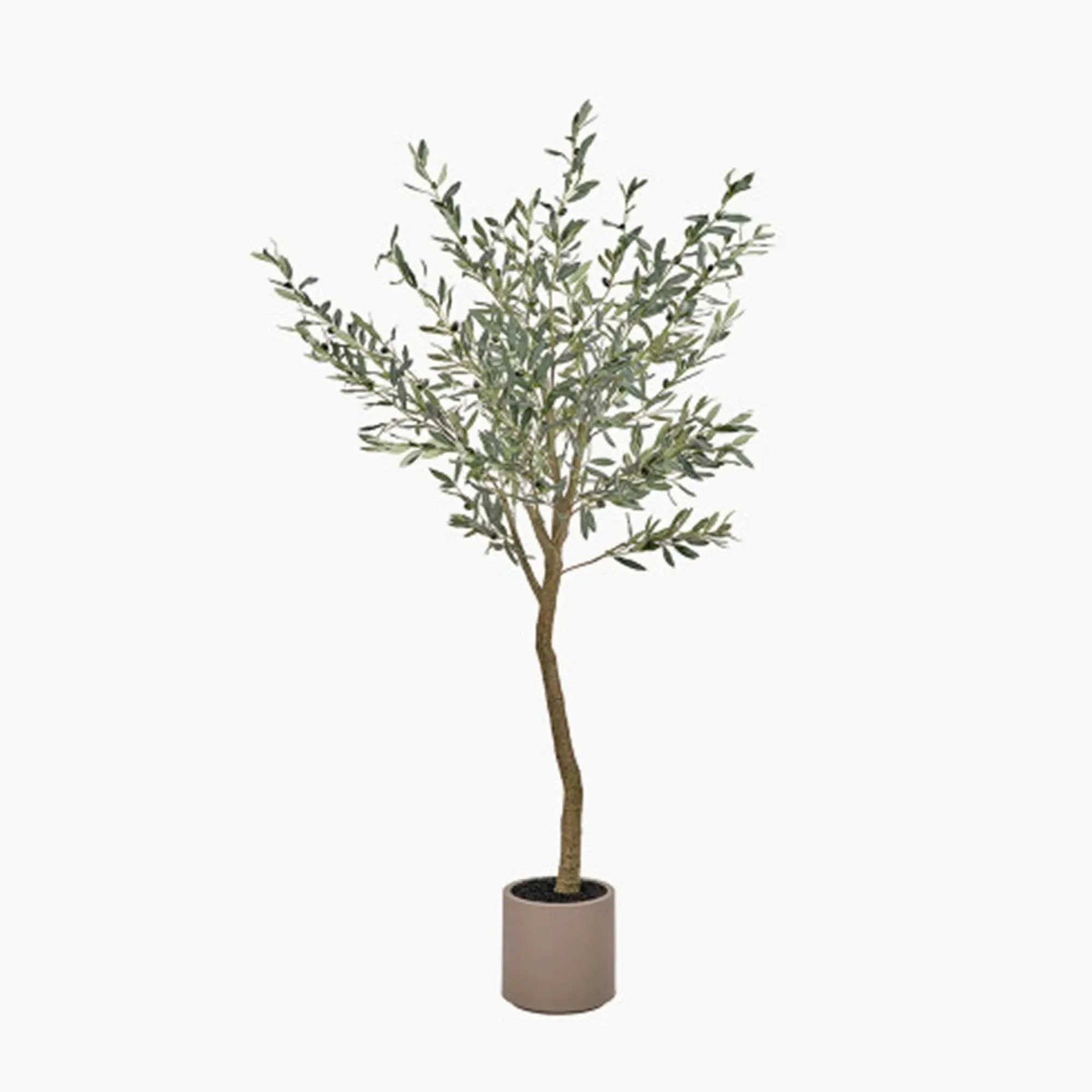 Large Potted Olive Tree - Green, Polypropylene