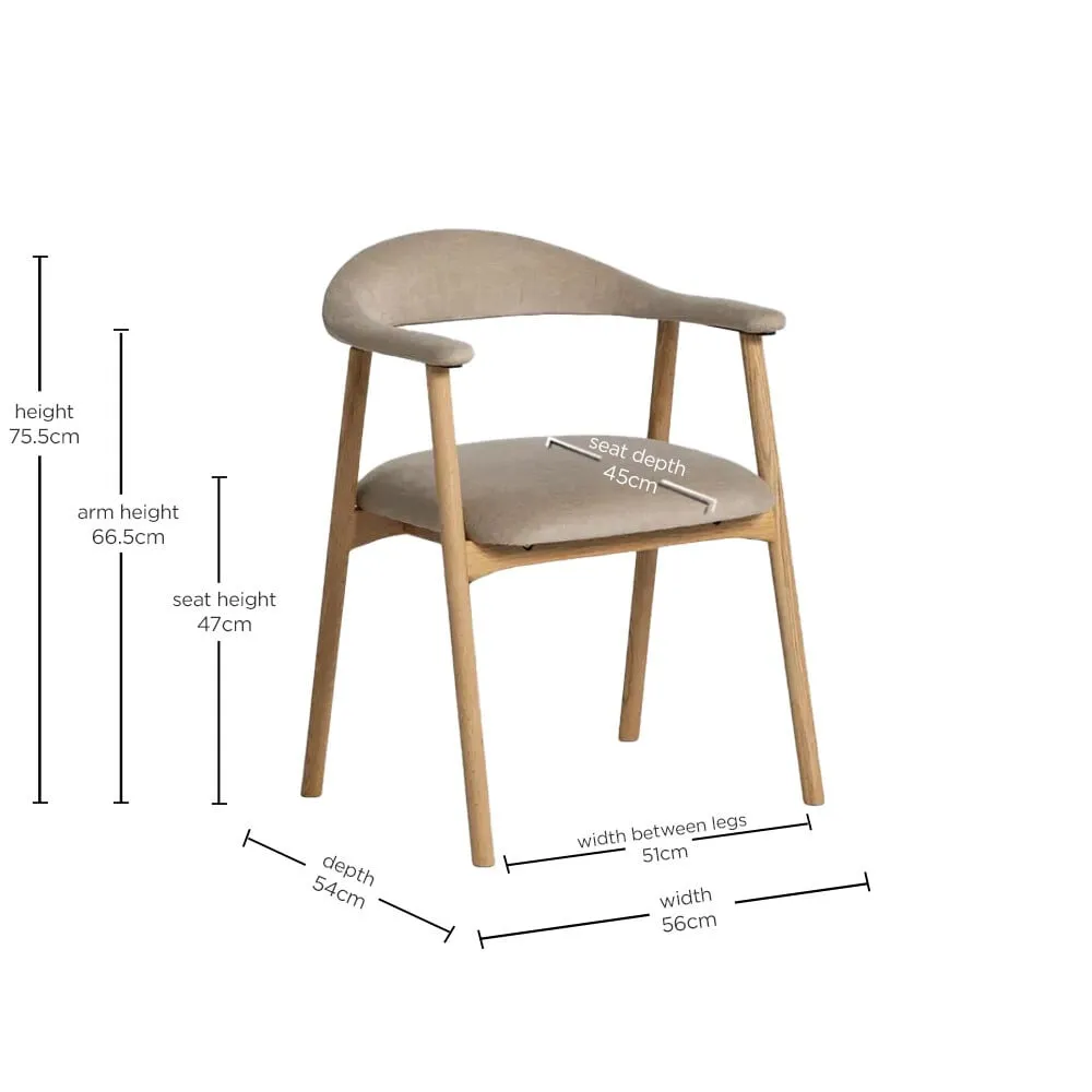 Lerman Dining Chair with Arms - Neutral, Oak
