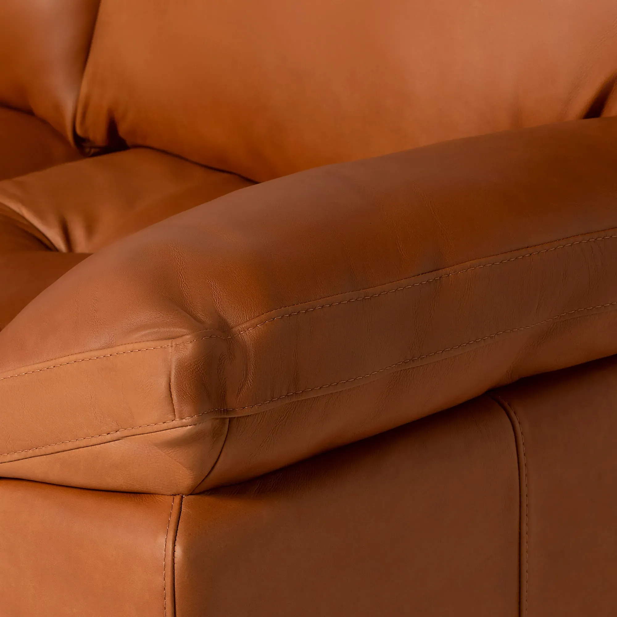 Olson 2-Seater Loveseat Sofa - Brown, Leather