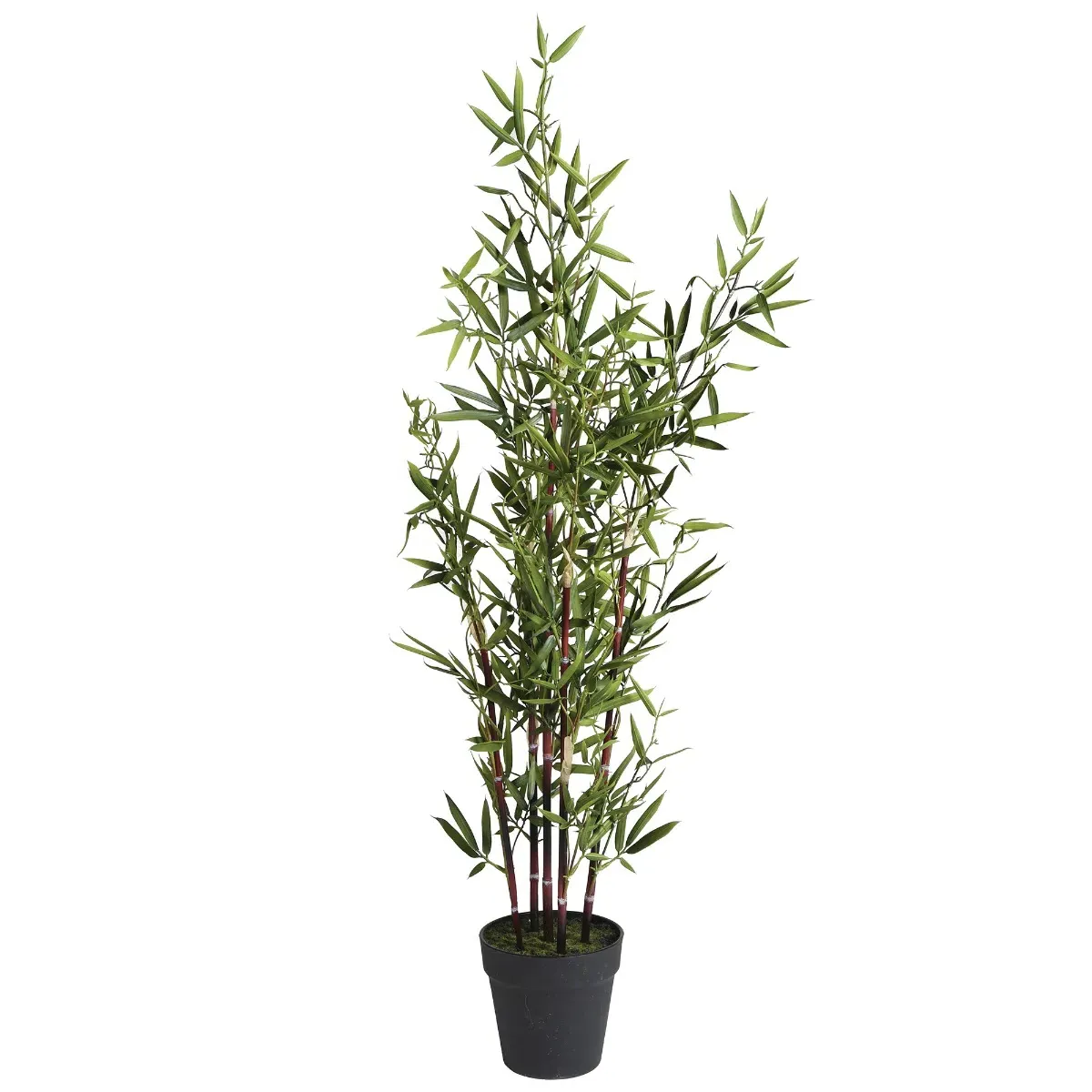Potted Bamboo Tree - Metal image