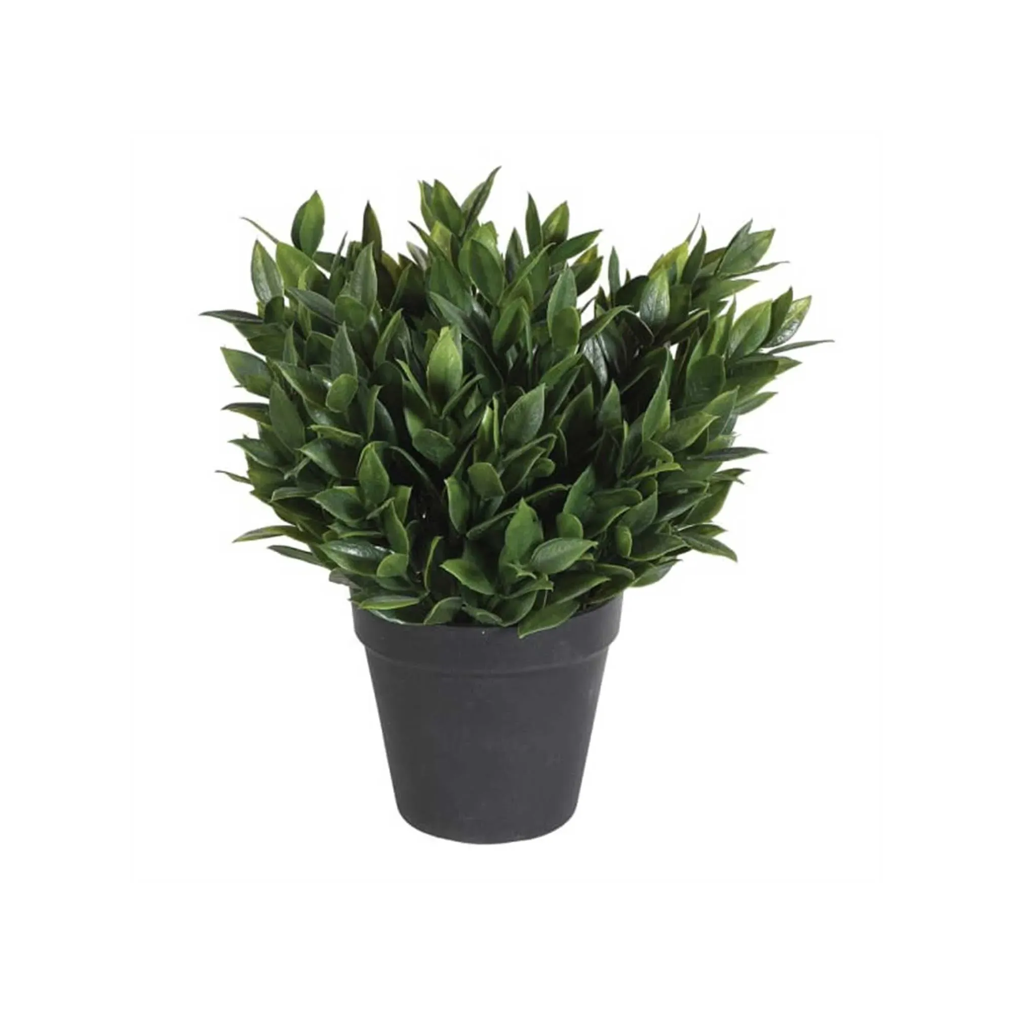 Potted Succulent Plant - Green, Plastic image
