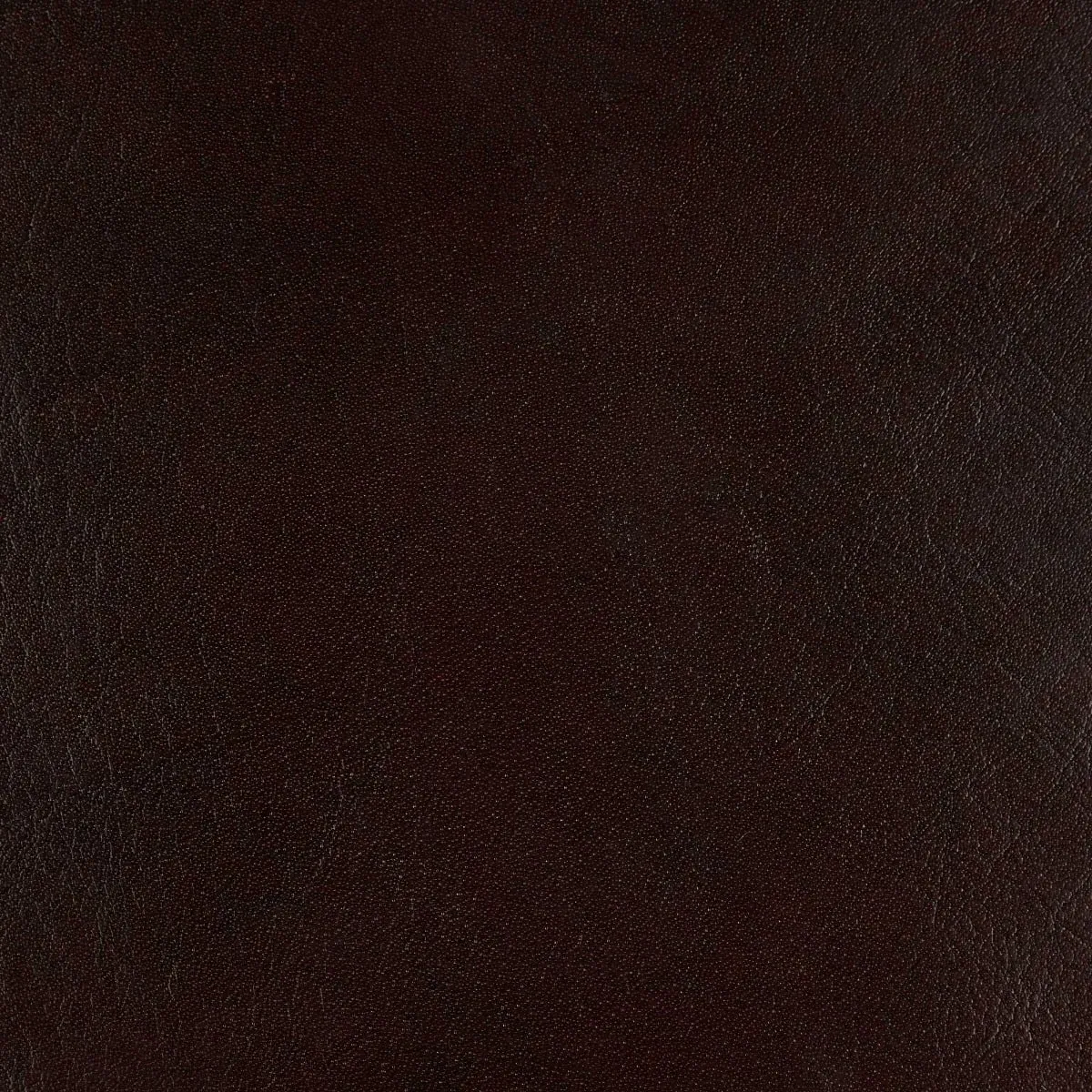 Pure Furniture Twyford Dining Chair - Brown, Leather