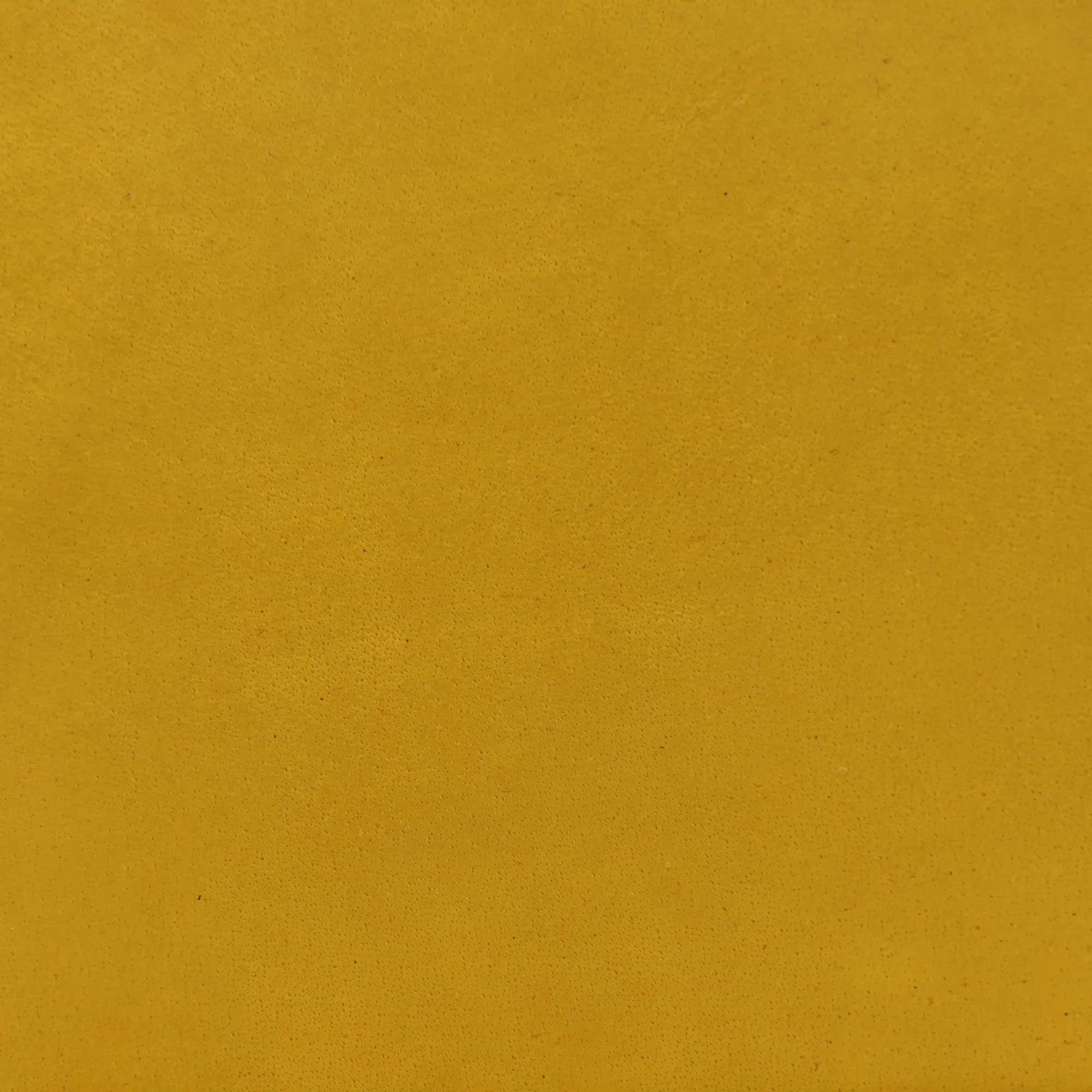 Pure Furniture Twyford Dining Chair - Yellow, Leather