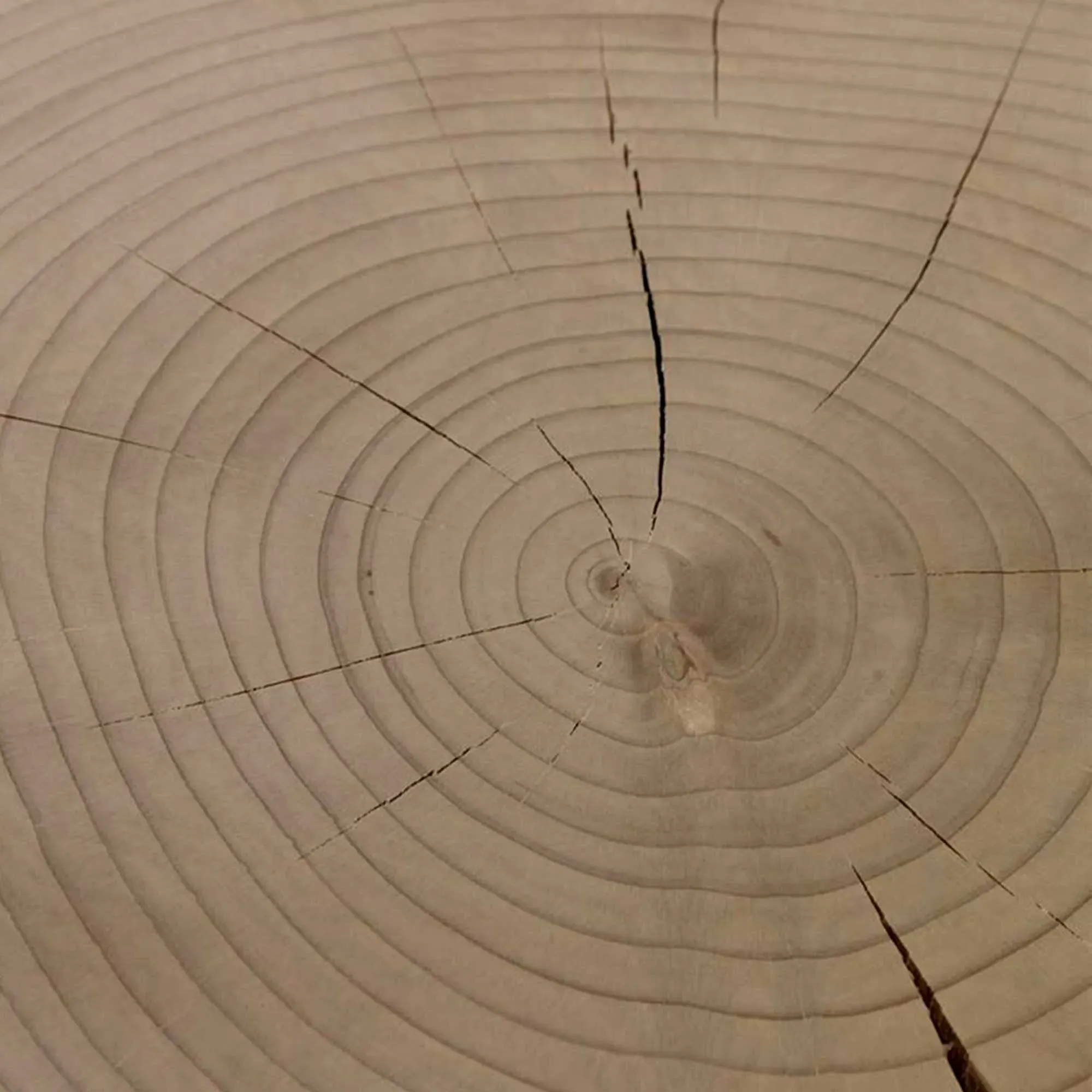 RIVA Clessidra Stool - Brown, Cedar