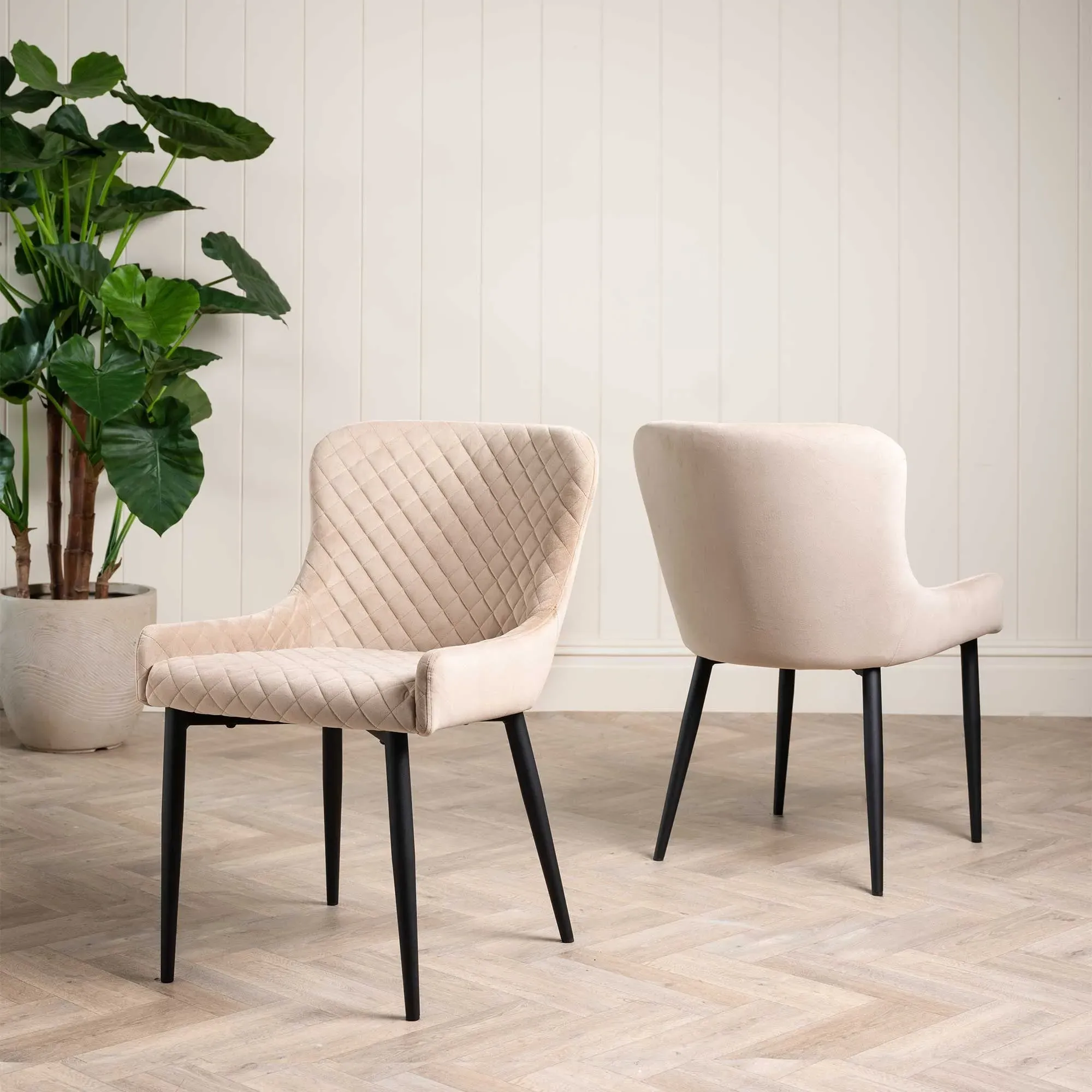 Rivington Dining Chair - Neutral, Velvet