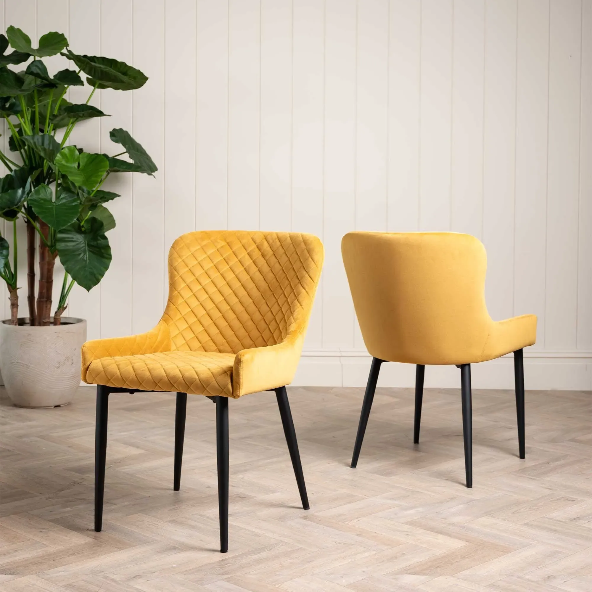 Rivington Dining Chair - Yellow, Velvet