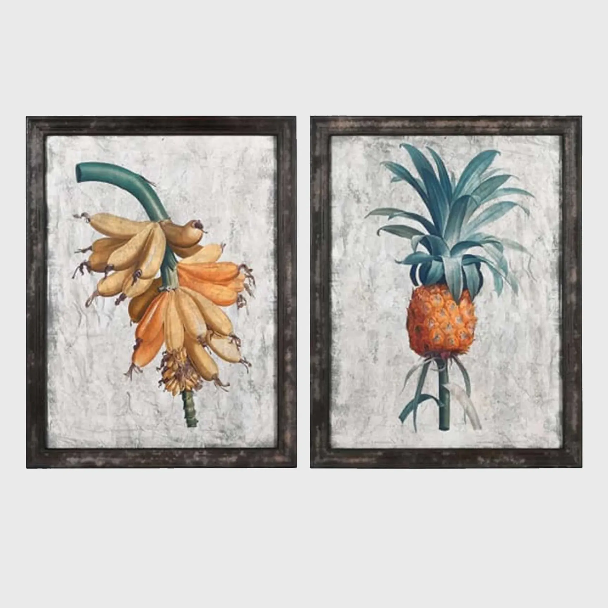 Set of 2 Botanical Square Framed Print - Fir Wood