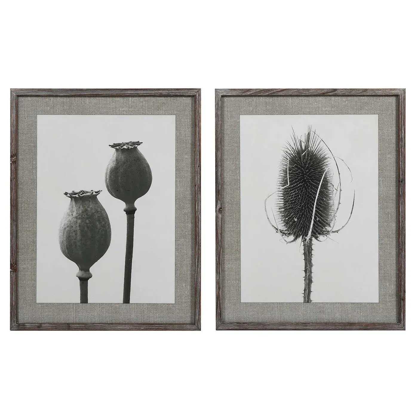 Set of 2 Poppy Prints - Grey Wood