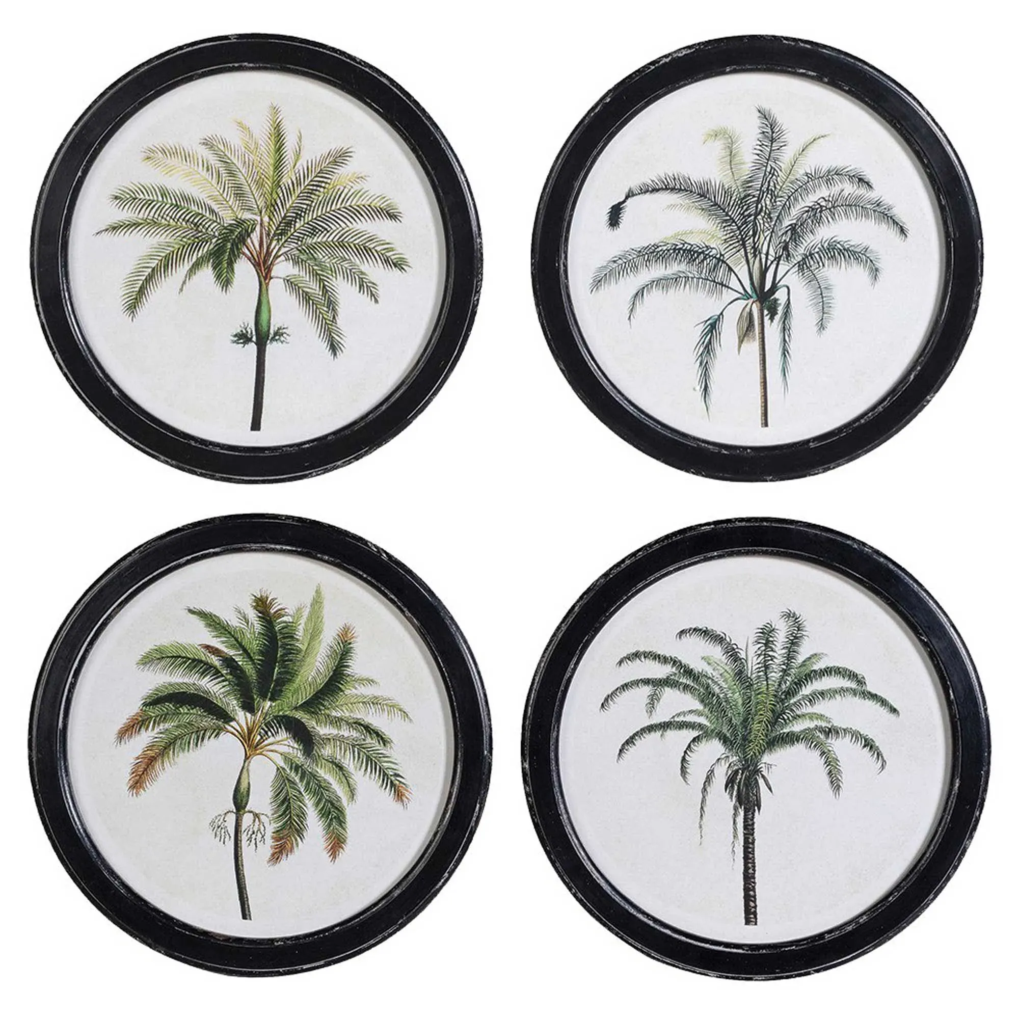 Set of 4 Round Palm Pictures Print - Green, Wood image