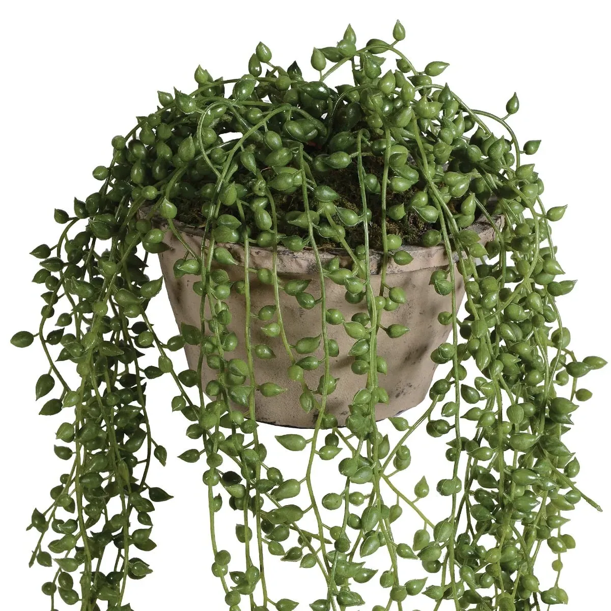 String Of Pearls Potted Plant - Pearl, Metal