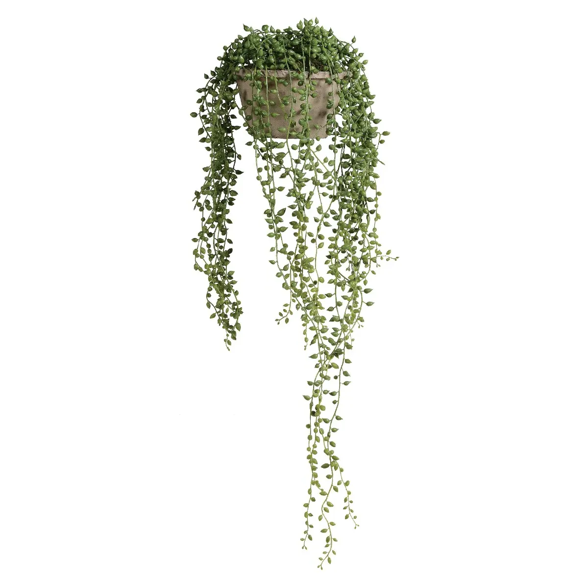 String Of Pearls Potted Plant - Pearl, Metal image