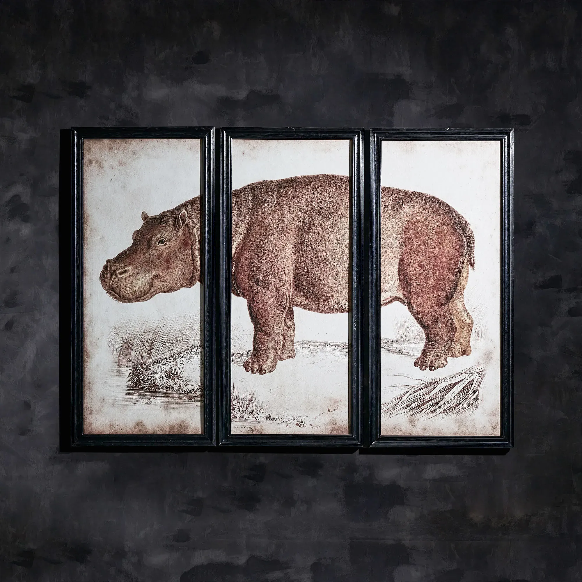 Timothy Oulton Animal Hippo Right Art - Black, Wood