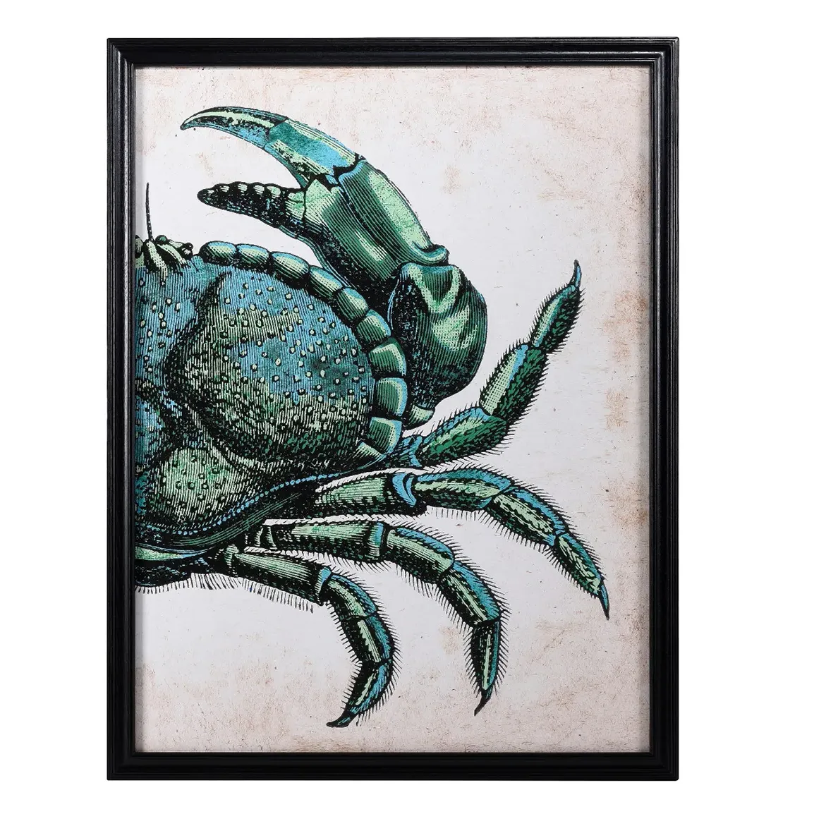Timothy Oulton Left Crab Square Art Print - Green, Wood