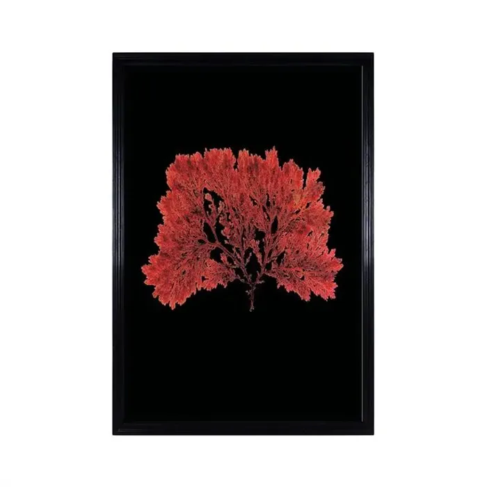 Timothy Oulton Sealife Flat Wall Art - Red, Wood
