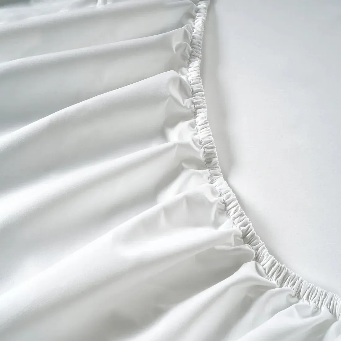 Single Fitted Sheet - White, Egyptian Cotton image