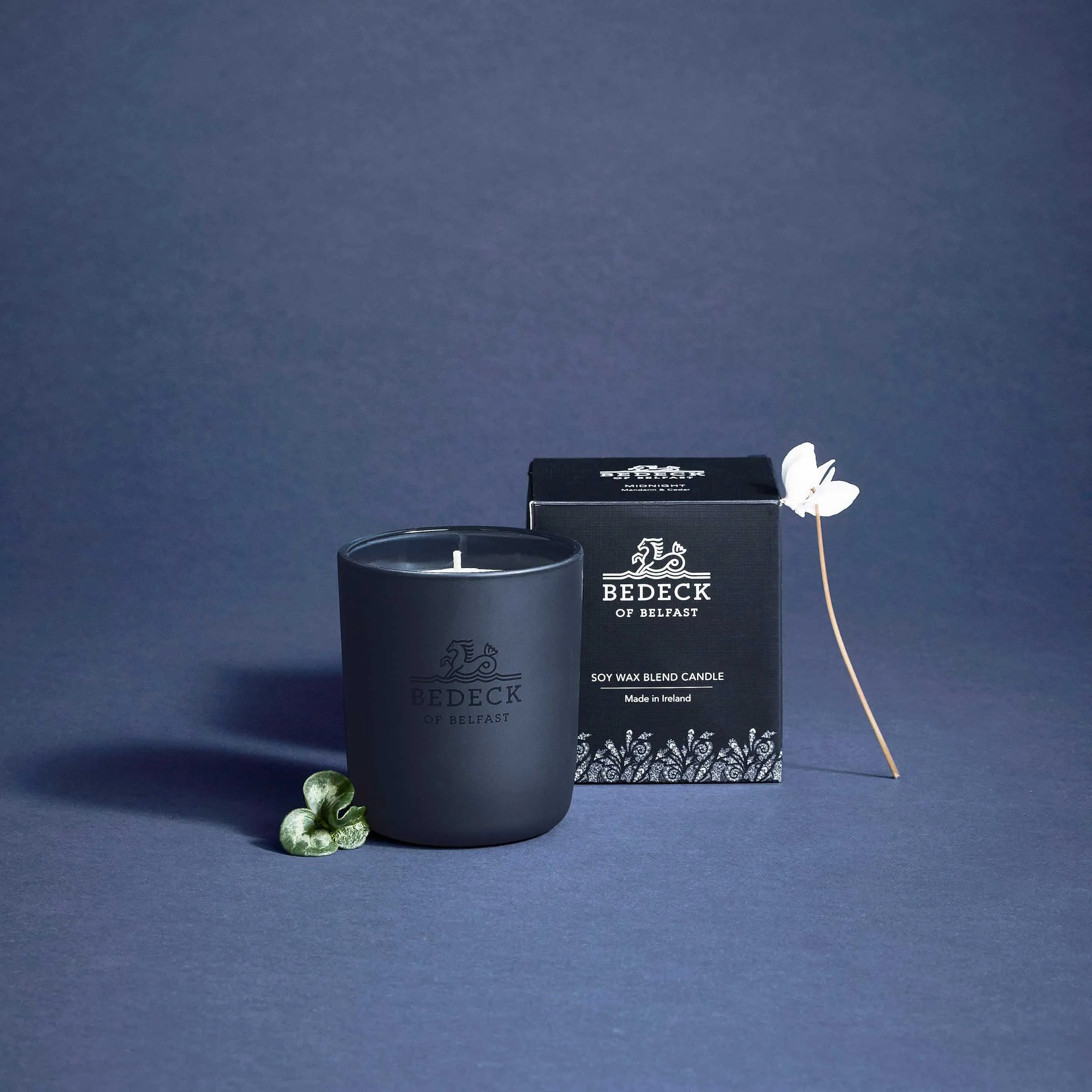 1 Wick Scented Candle Midnight - Citrus Clove