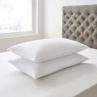 2-Pack Pillows with Cotton Cover - White
