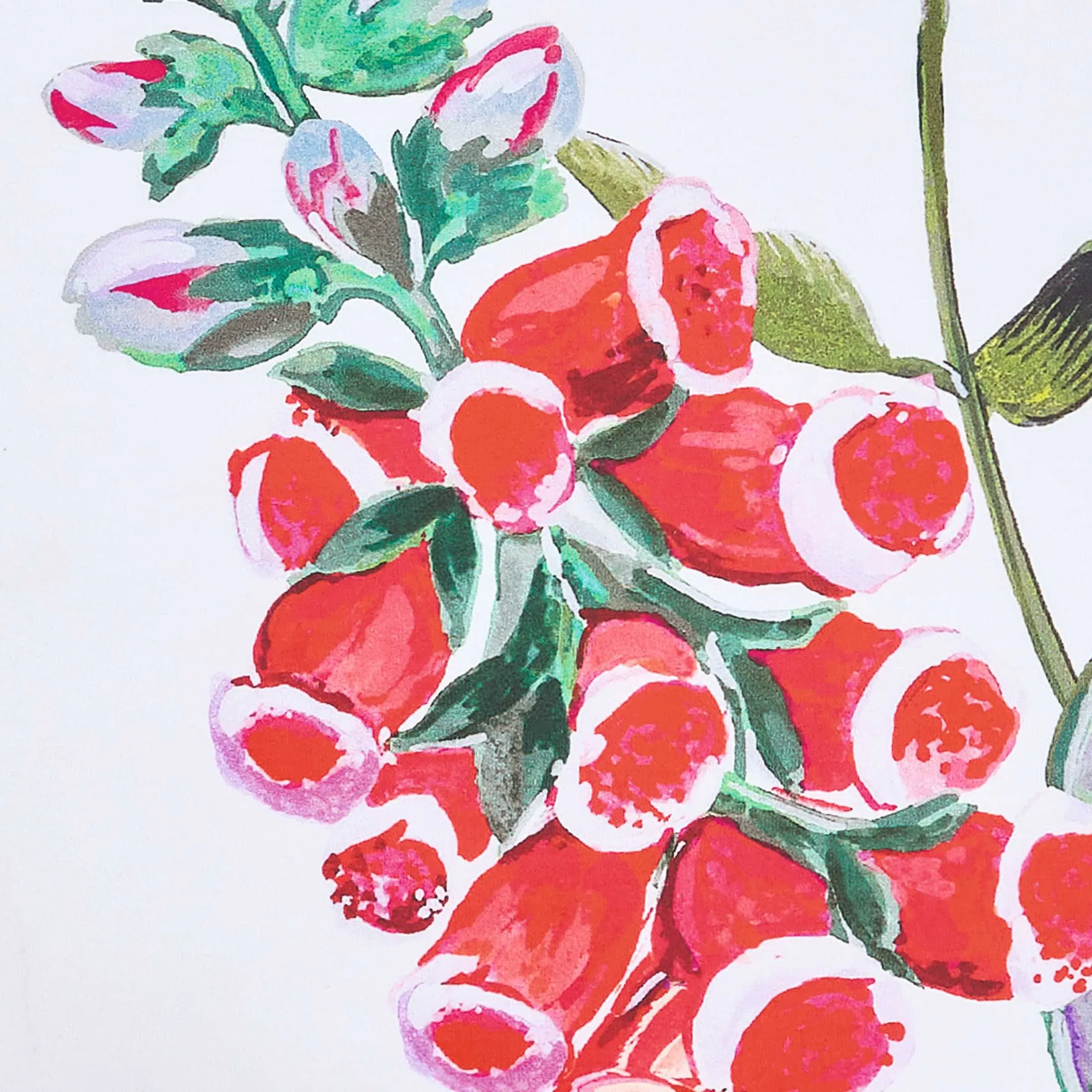 Chunky Knit Throw with Pastel Trim - Multi