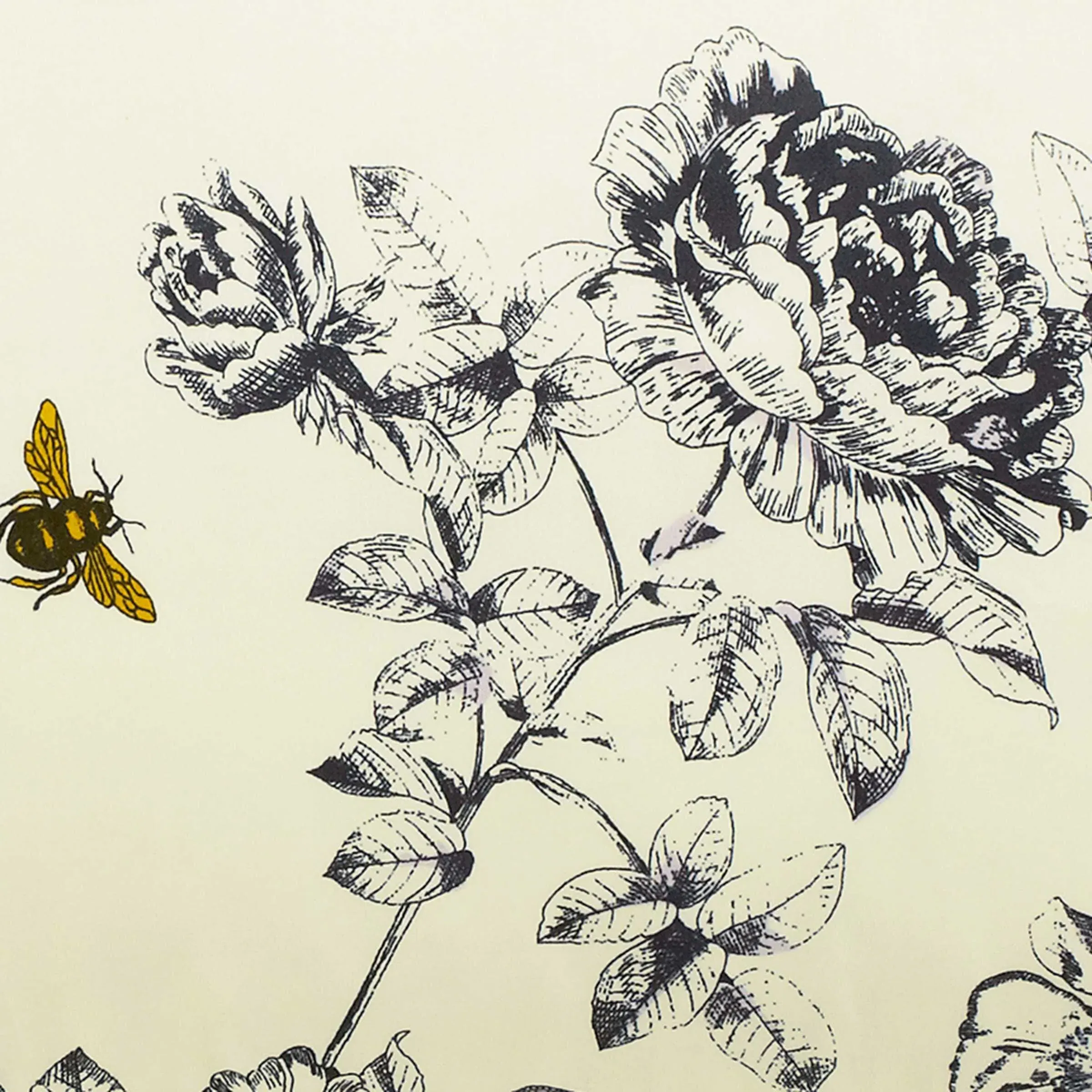 Oxford Pillowcase with Floral Print - Cream