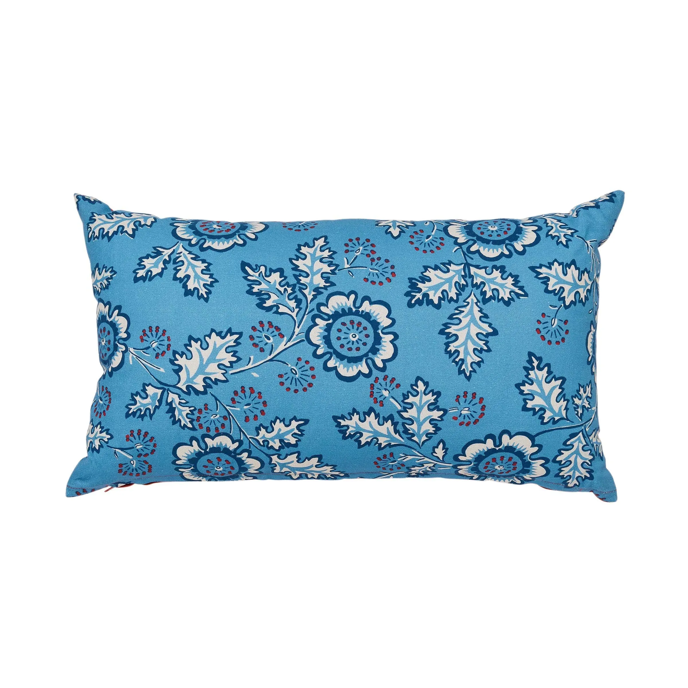 River Outdoor Cushion - Blue, Red product