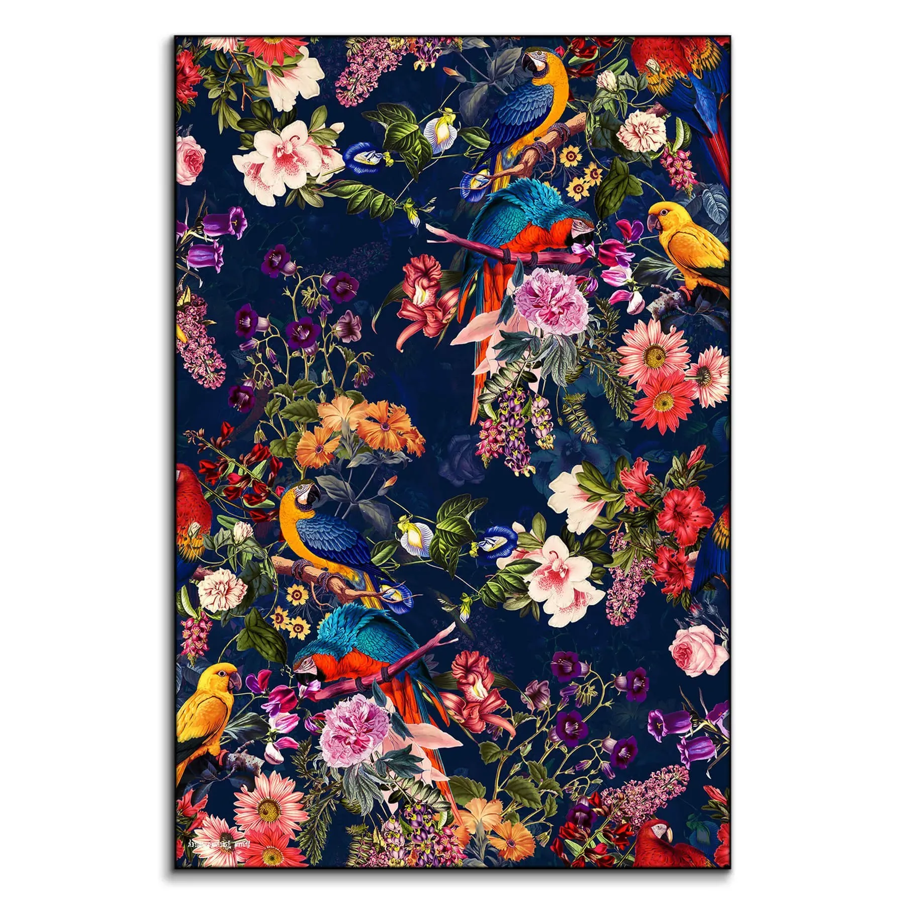Floral and Birds XII Wall Art - Vibrant image