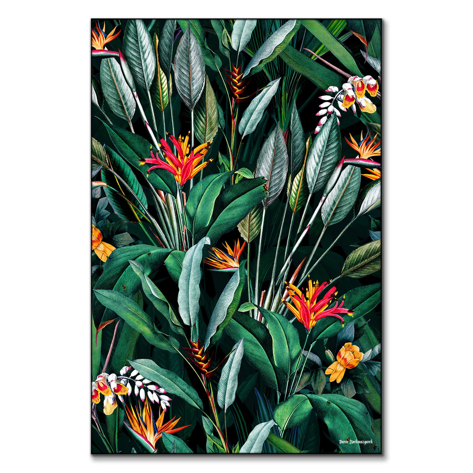 Midnight Garden V Wall Art - Dark image