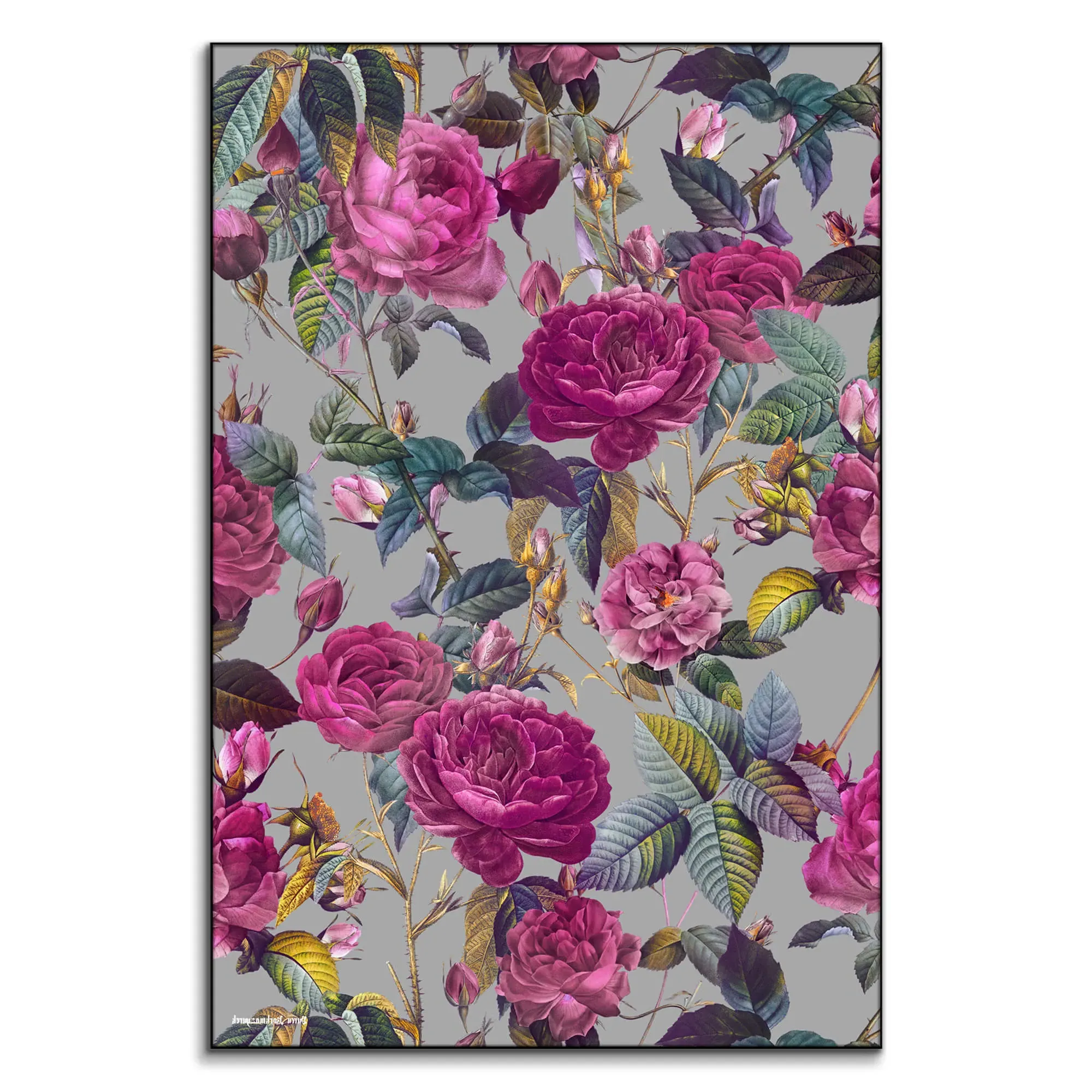 Rose Garden XI Wall Art - Magenta image