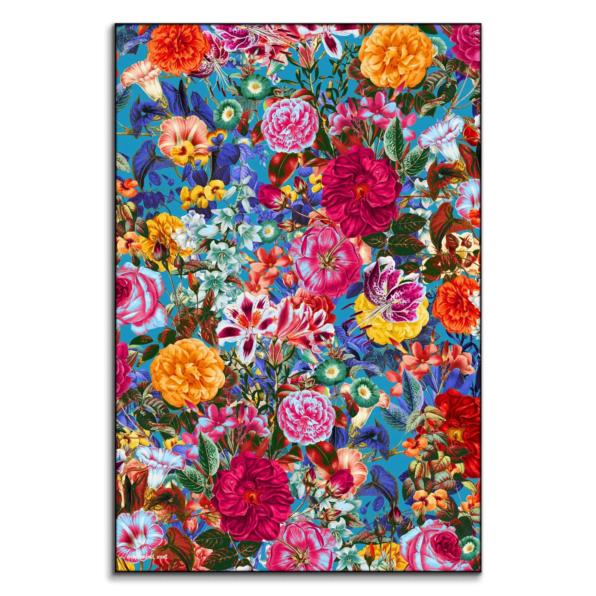 Secret Garden Wall Art - Multicolored image